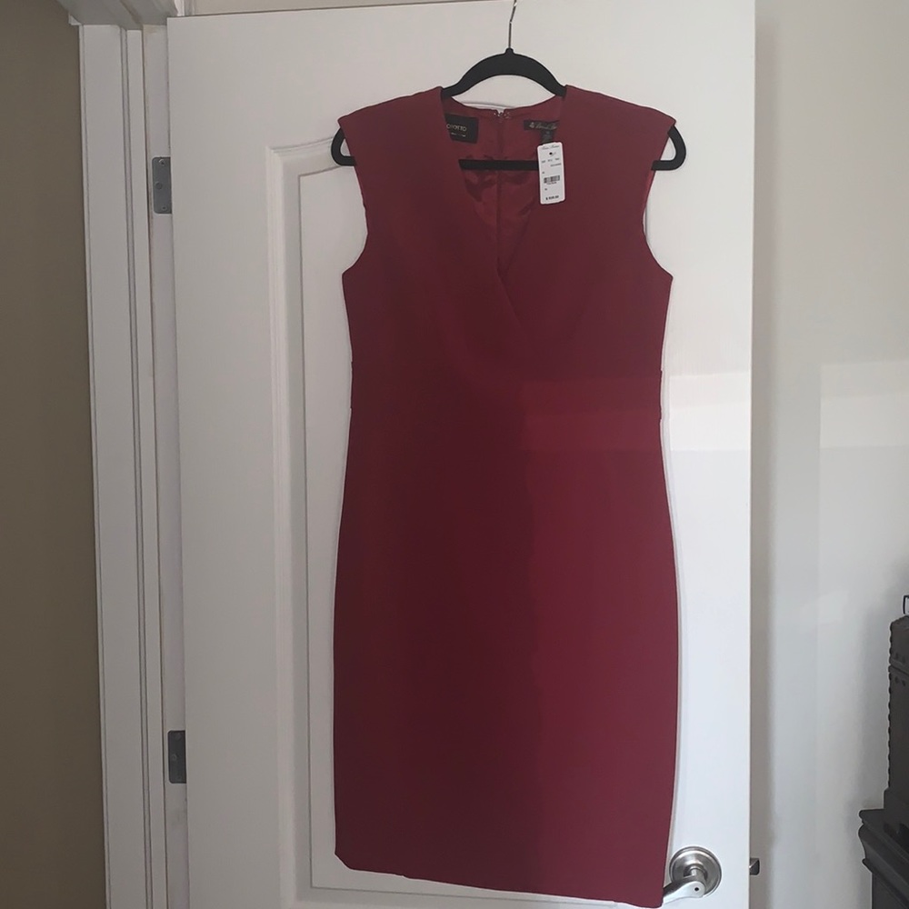 Brooks Brothers Bodycon dress | Colour: Maroon